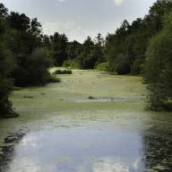 La contaminación en As Conchas y su impacto en la salud y el medio ambiente