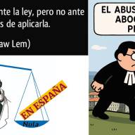Comunicado ONG Pladesemapesga. ¿Es realmente igual la Ley para todos en España? El caso Feijóo-Cárdenas y el periodista Miguel Ángel Delgado González